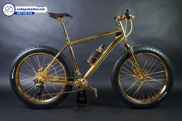 Đây là dòng xe đạp được thiết kế và cho ra mắt bởi Hugh Power. Chiếc xe đạp này còn được biết như là một phiên bản cao cấp dành cho phái nữ. Ngoài ra xe đạp này còn gọi là xe đạp chất béo.