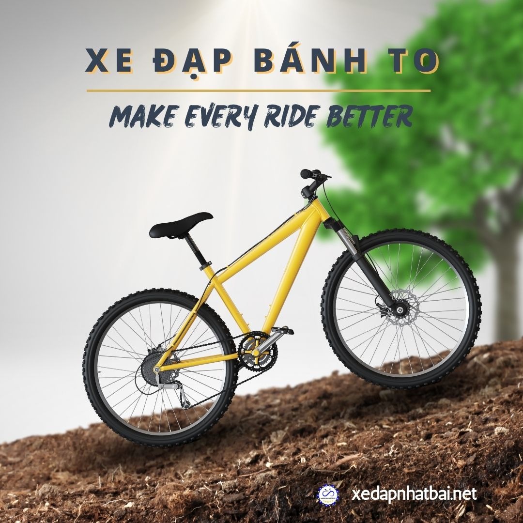 Hướng Dẫn Chọn Mua Xe Đạp Thể Thao Bánh To